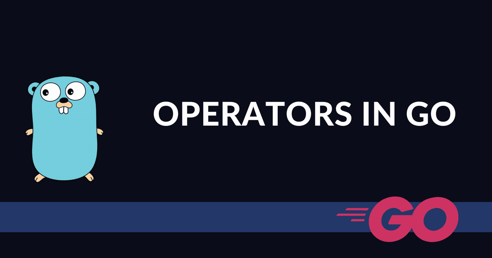 Operators in Go (Blog 7 of the Go Series)